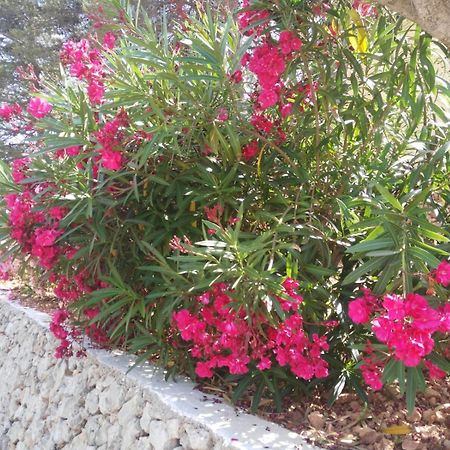 Cala Galdana Beach מראה חיצוני תמונה