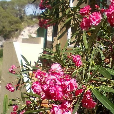 Cala Galdana Beach מראה חיצוני תמונה