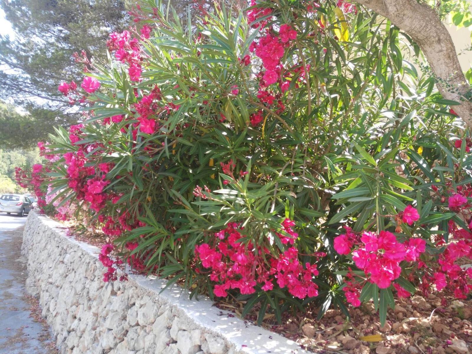 Cala Galdana Beach מראה חיצוני תמונה